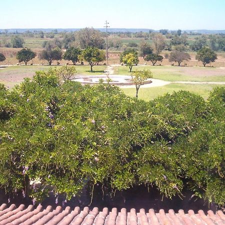 Quinta Do Casalinho Pensionat Almeirim Exteriör bild