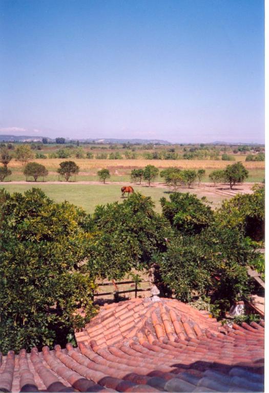 Quinta Do Casalinho Pensionat Almeirim Rum bild