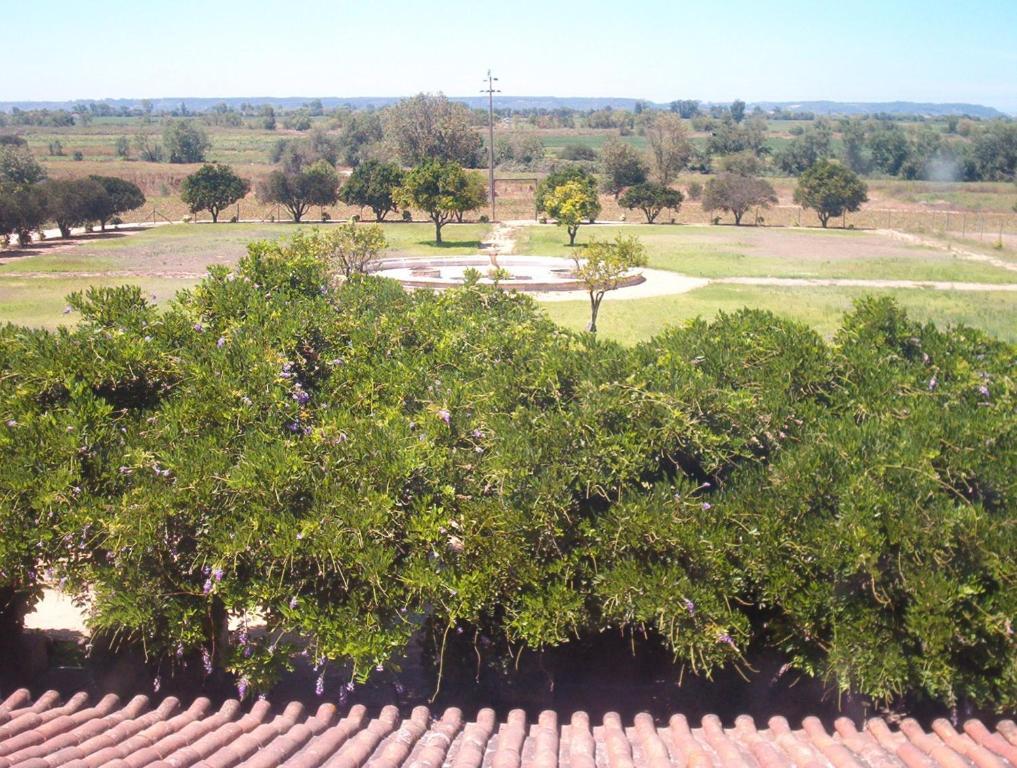 Quinta Do Casalinho Pensionat Almeirim Exteriör bild